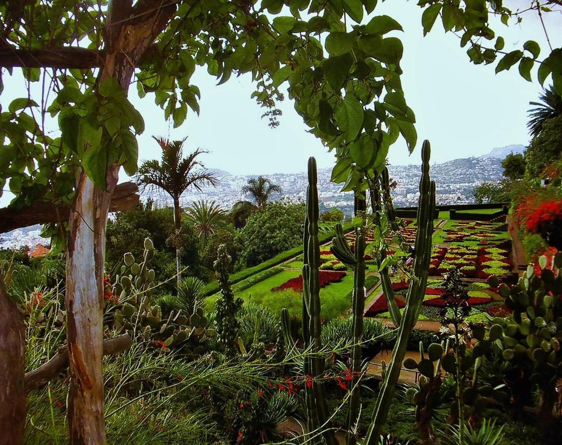 Apartment - The Historical Center Of Funchal In Alojamento Local Экстерьер фото
