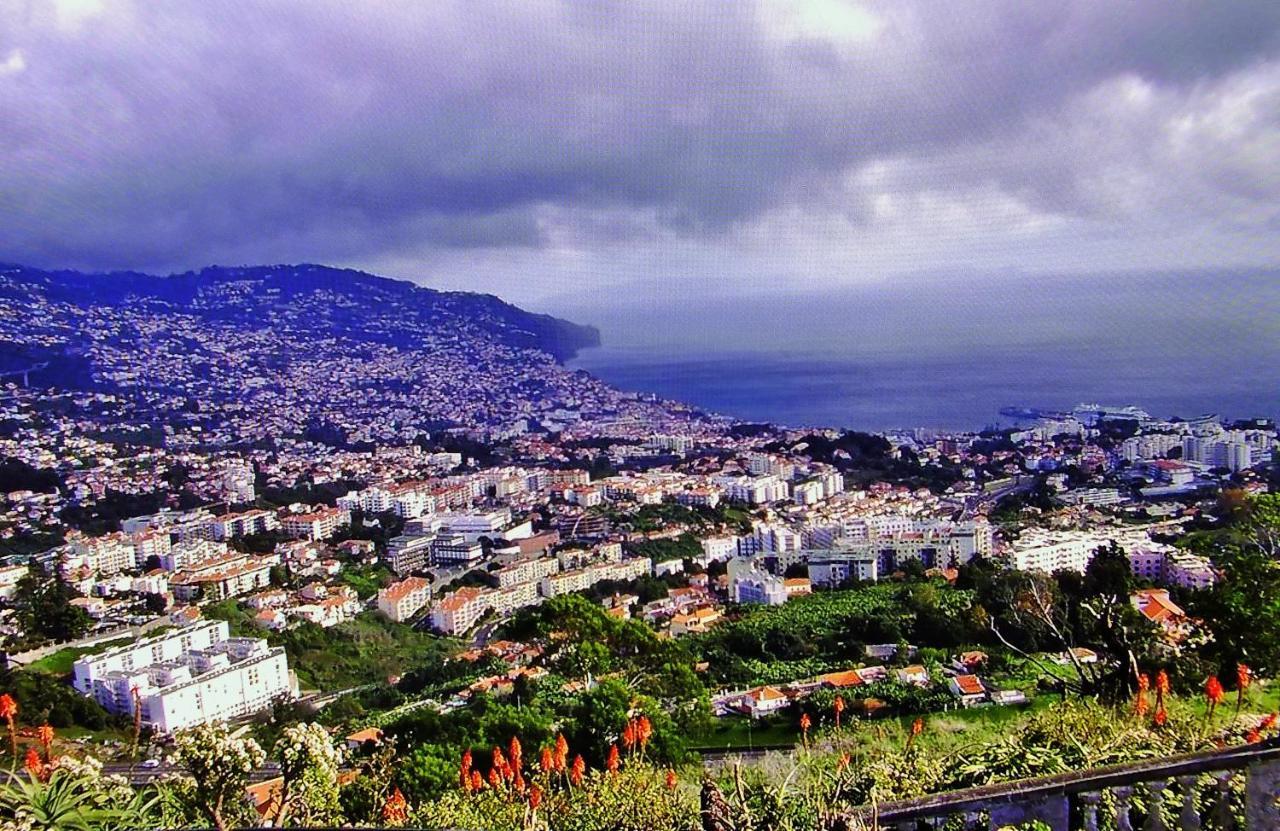 Apartment - The Historical Center Of Funchal In Alojamento Local Экстерьер фото