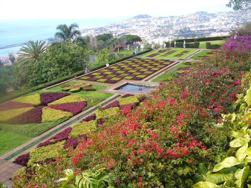 Apartment - The Historical Center Of Funchal In Alojamento Local Экстерьер фото