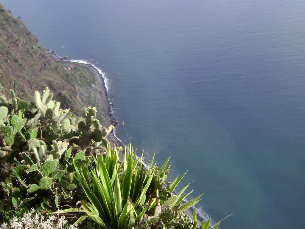 Apartment - The Historical Center Of Funchal In Alojamento Local Экстерьер фото